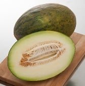 Piel de Sapo Melon Seeds CA57-20_Base