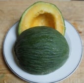 Early Valencia Melon Seeds CA59-20_Base
