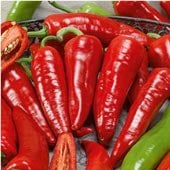 Giant Ristra Pepper Seeds HP2243-10_Base