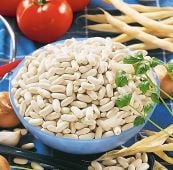 Cannellini Beans BN148-50
