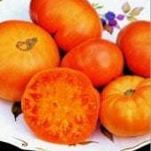 Amana Orange Tomato Seeds TM2-20_Base