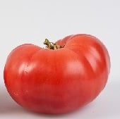 Beauty Tomato Seeds TM468-20_Base