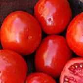 Bellstar Tomato TM357-10