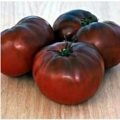 Brandywine Black Tomato Seeds TM19-20_Base