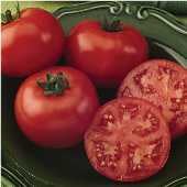 Small Garden Tomato