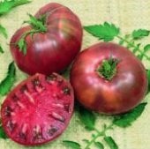 Cherokee Purple Tomato Seeds TM34-20_Base