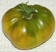 Green Pineapple Tomato TM332-10