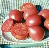 Grightmire's Pride Tomato Seeds TM482-20_Base