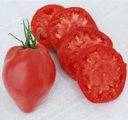 Hungarian Heart Tomato Seeds TM298-20_Base