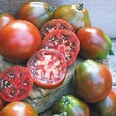 Tomato - J