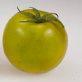 Lime Green Salad Tomato Seeds TM717-20_Base