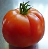 Mega Tom Tomato Seeds TM235-10_Base