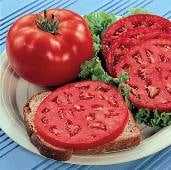Park's Whopper Improved Tomato Seeds TM102-10_Base
