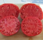 Pink Oxheart Tomato Seeds TM100-20_Base