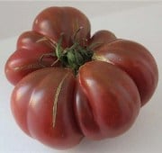 Purple Calabash Tomato TM331-20