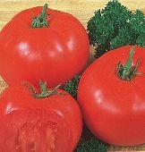 Super Beefsteak Tomato Seeds TM129-20_Base
