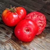 Super Choice Tomato TM938-20