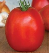 SuperSauce Tomato TM767-10