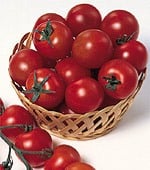 Sweet Chelsea Tomato TM133-20_Base