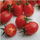 Umberto Pear Tomato Seeds TM776-10_Base