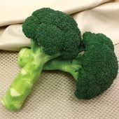 Green Magic Broccoli Seeds BR20-100_Base