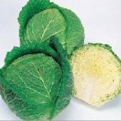 Savoy Ace Improved Cabbage Seeds CB50-100_Base