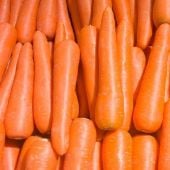 Brilliance Carrots CT40-100