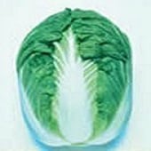 Blues Chinese Cabbage Seeds CB21-100_Base