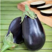 Black Beauty Eggplants EG2-20