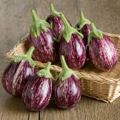 Calliope Eggplant Seeds EG61-10_Base