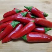 Chile de Comida Hot Pepper HP1043-10