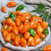 Cienfuegos Orange Hot Peppers HP2436-10