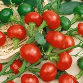 Cherry Hot Peppers (Large) HP849-20