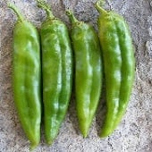NuMex Big Jim Hot Peppers (Guinness World Record) HP163-20