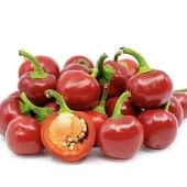 Piccante Calabrese Hot Peppers HP2380-10