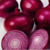 Red Creole Onion Seeds ON8-250_Base