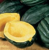 Table Queen Squash Seeds SQ32-10_Base