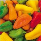 Yum Yum Mix Sweet Peppers SP343-10