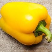Canary Belle Sweet Peppers SP258-10