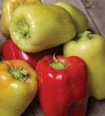 Peppers - Sweet - G