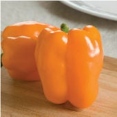 Orange Sweet Peppers