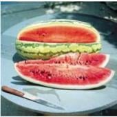 Garrisonian Watermelons WM56-20