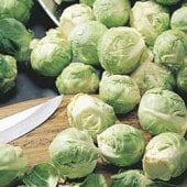 Jade Cross Brussels Sprouts BS2-50