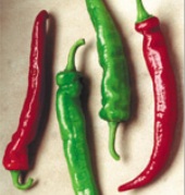 Cheyenne Hot Peppers HP1993-10