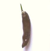 Ethiopian Hot Peppers HP687-10