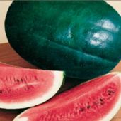 Black Diamond Watermelons WM3-20