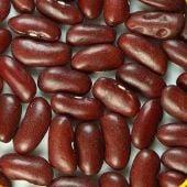 Dark Red Kidney Bean Seeds BN146-50_Base