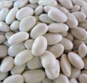 Great Northern Beans BN147-50