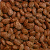Pinto Bean Seeds BN81-50_Base