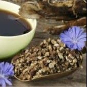 Coffee Additive Chicory Seeds CE2-1000_Base